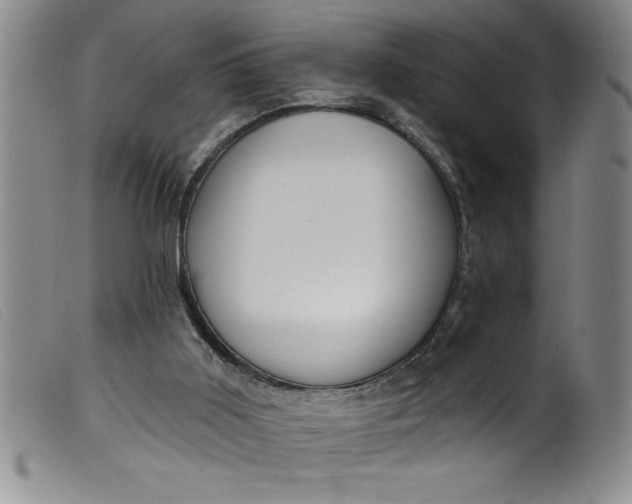 X0000099320011200805161411