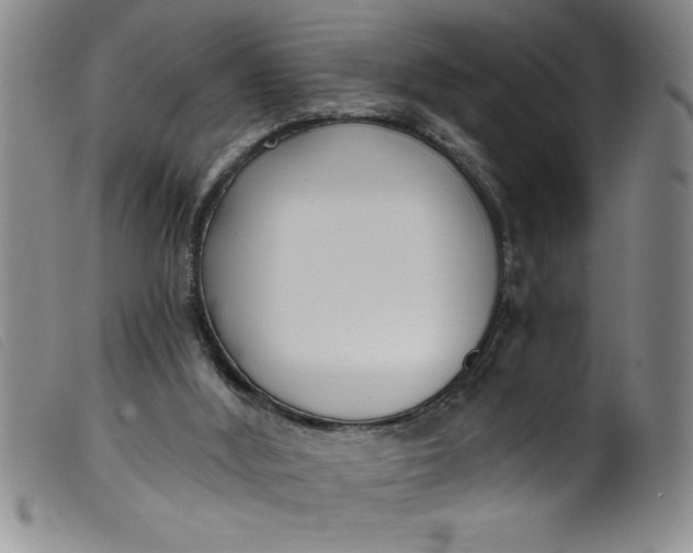 X0000099320012200805161411