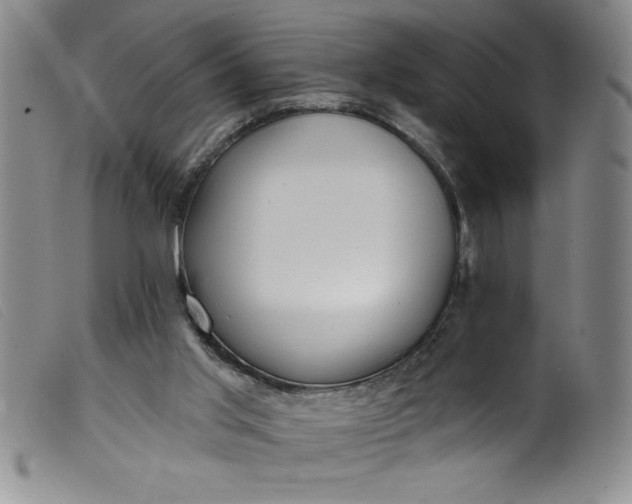 X0000099320013200805161411