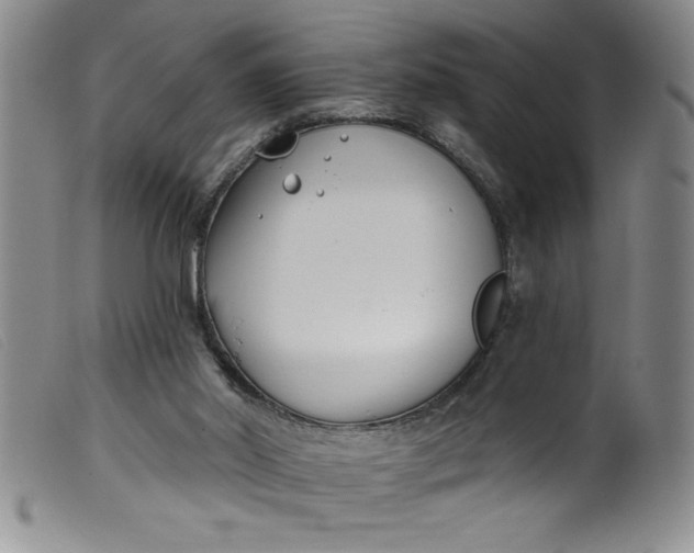 X0000099320014200805161411