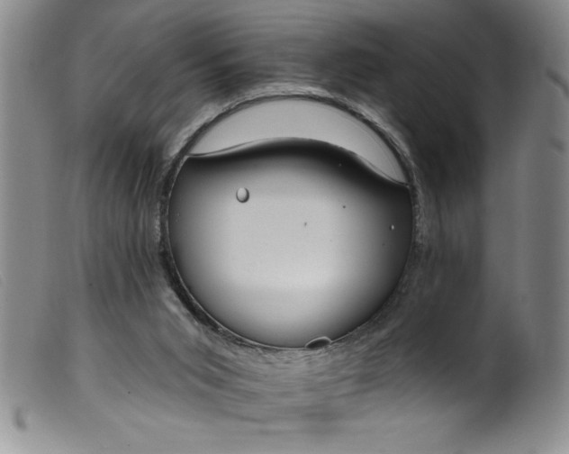 X0000099320015200805161411