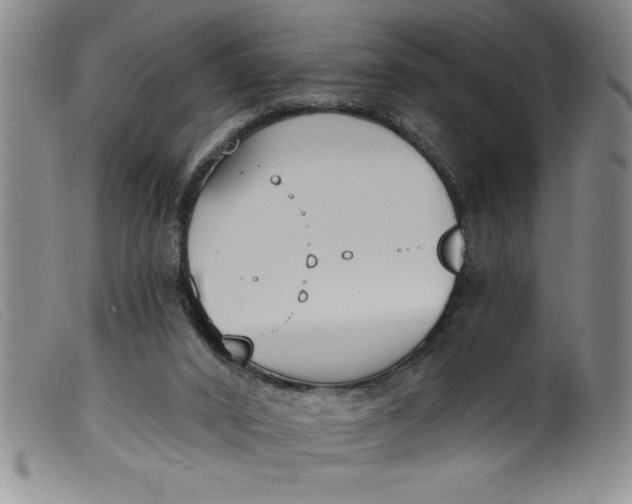 X0000099320016200805161411