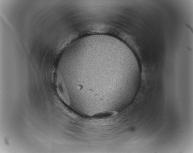 X0000099320017200805161411