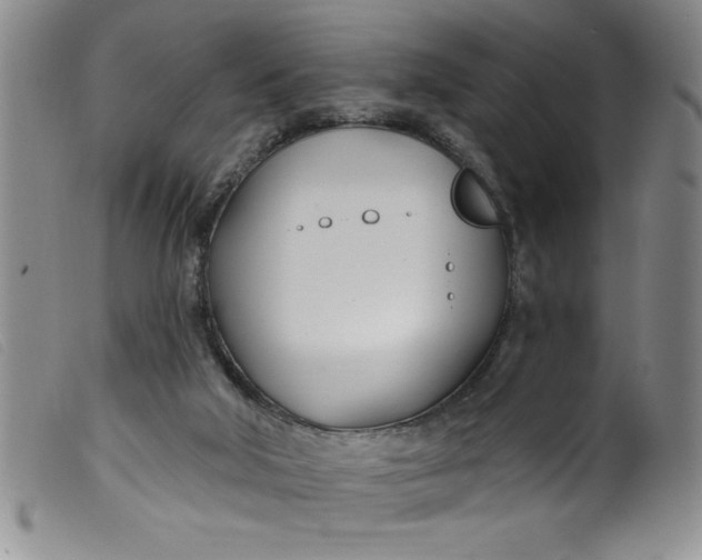 X0000099320018200805161411