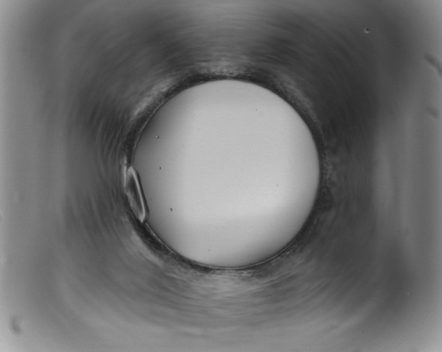 X0000099320020200805161411