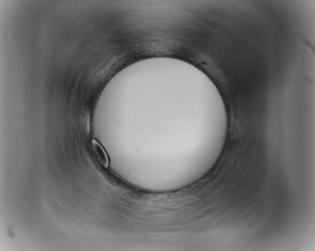 X0000099320021200805161411