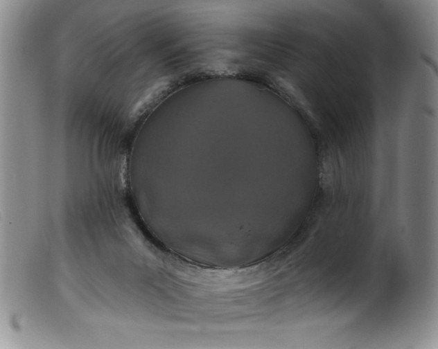 X0000099320023200805161411