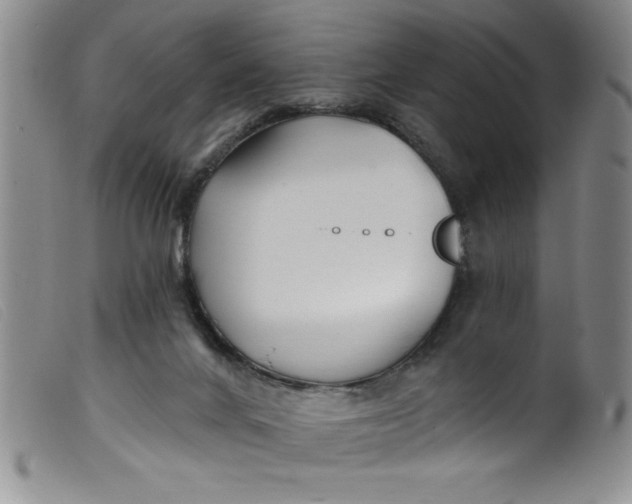 X0000099320024200805161411