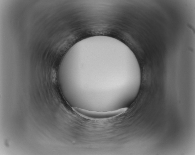 X0000099320025200805161411