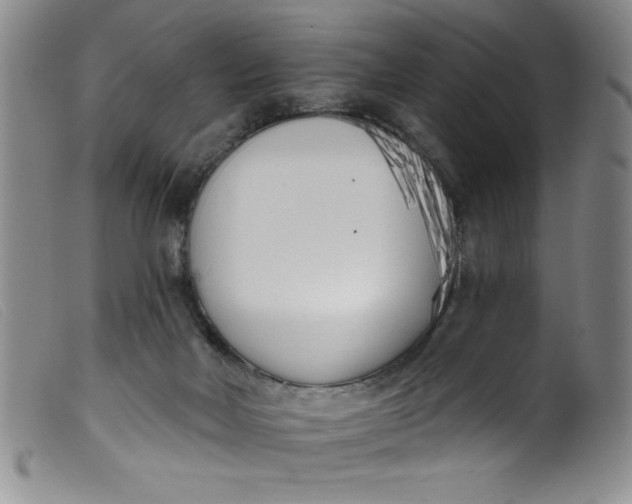 X0000099320026200805161411