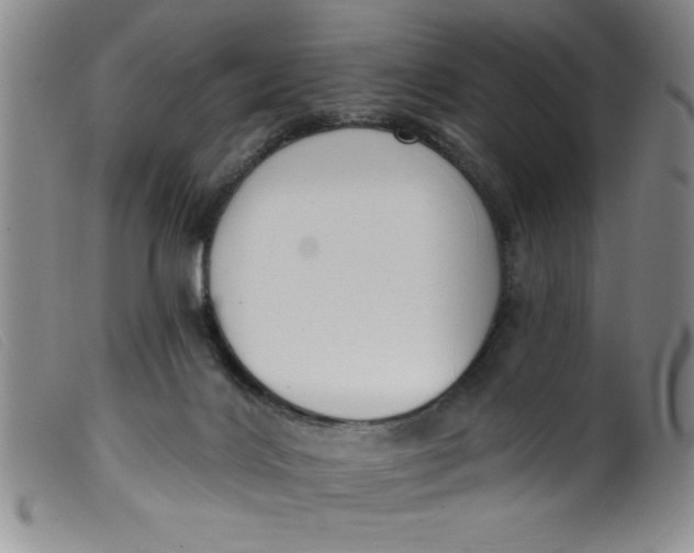 X0000099320028200805161411