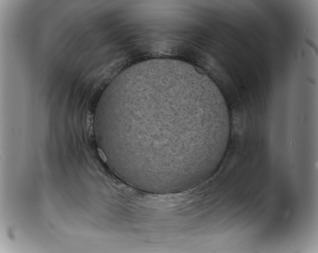 X0000099320029200805161411