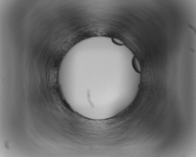 X0000099320030200805161411