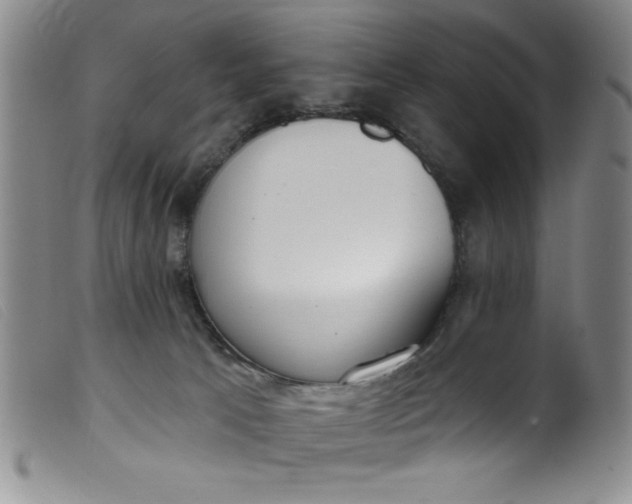 X0000099320033200805161411