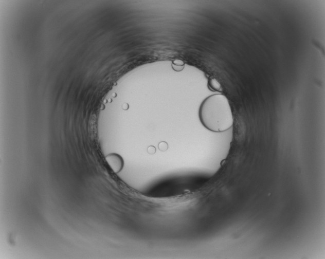 X0000099320034200805161411