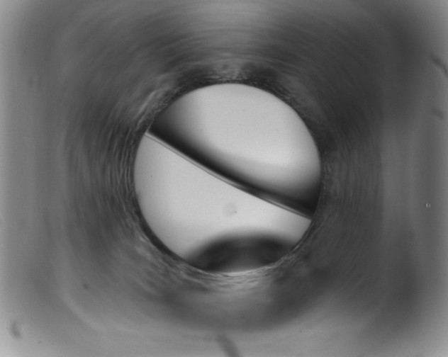 X0000099320035200805161411