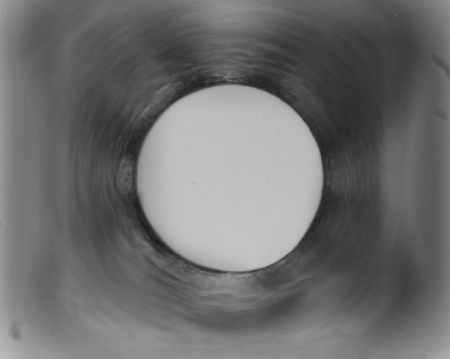 X0000099320036200805161411