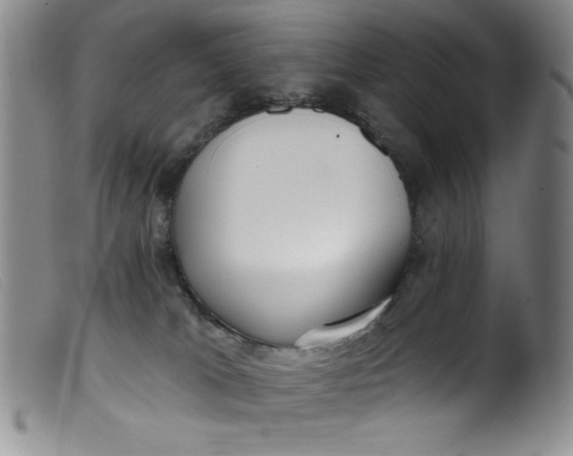 X0000099320037200805161411