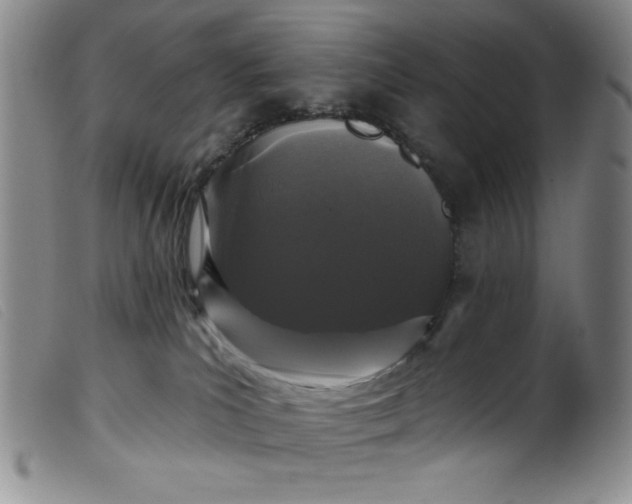 X0000099320039200805161411