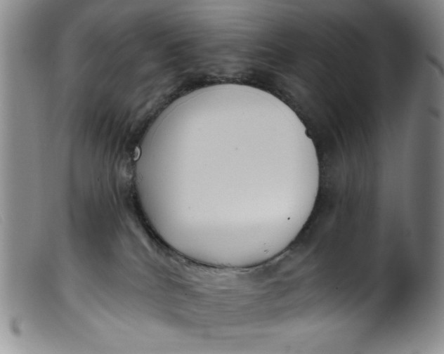 X0000099320040200805161411