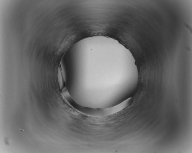 X0000099320041200805161411