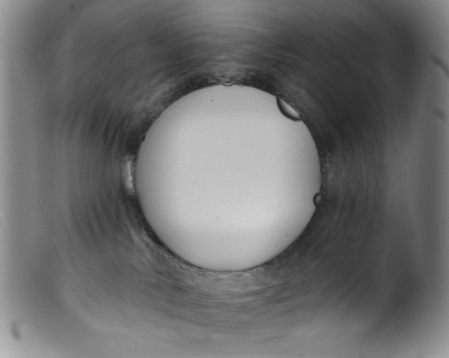 X0000099320042200805161411