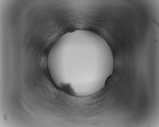 X0000099320043200805161411