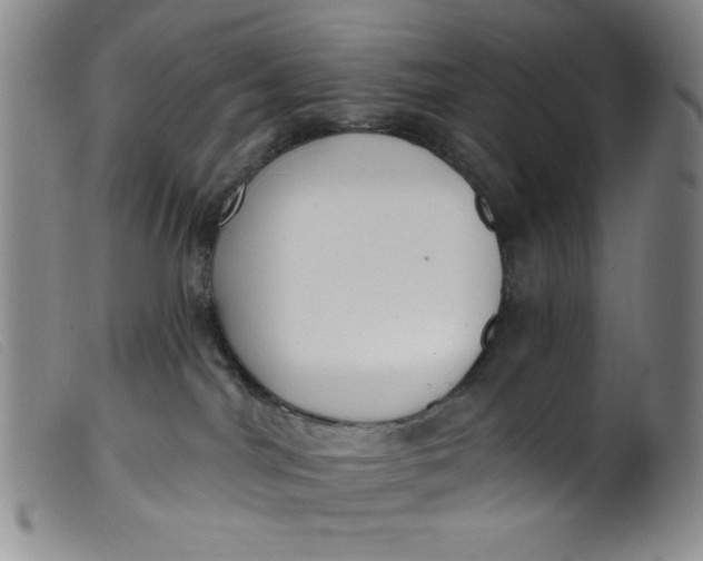 X0000099320044200805161411