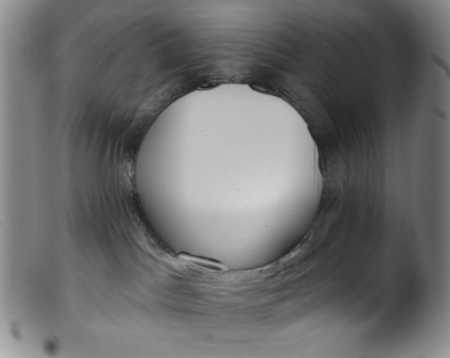 X0000099320045200805161411