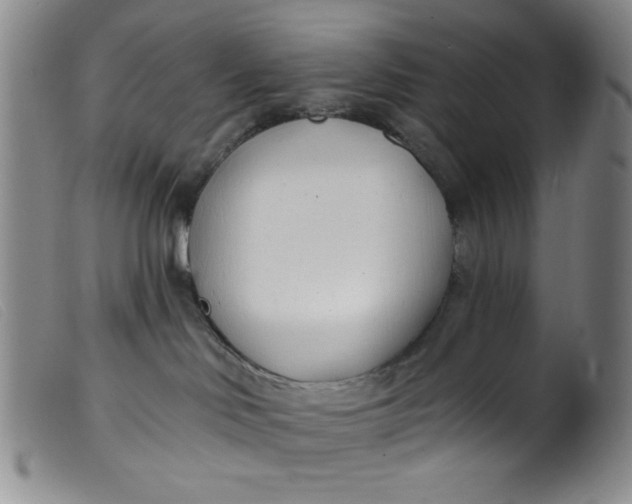 X0000099320046200805161411