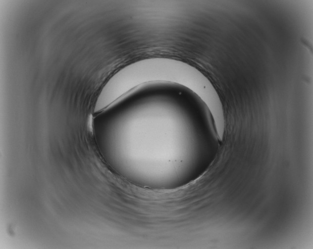 X0000099320047200805161411