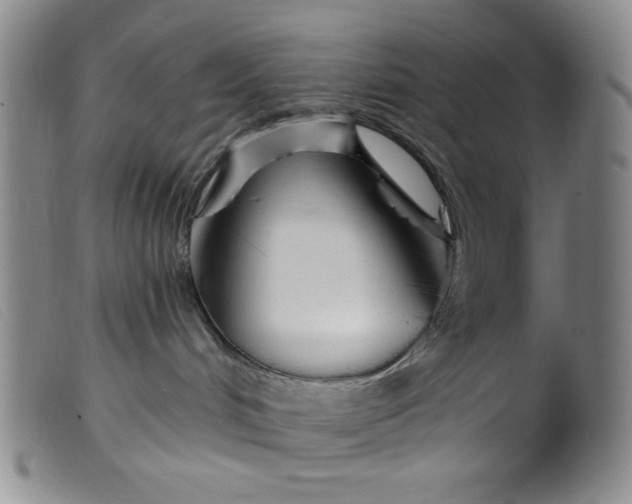 X0000099320048200805161411