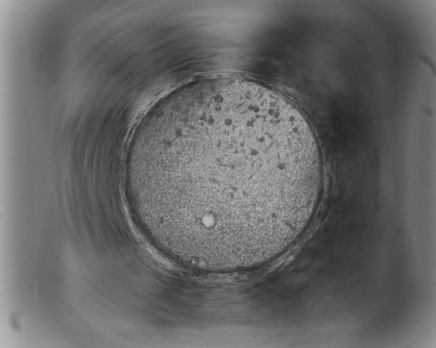 X0000099320049200805161410