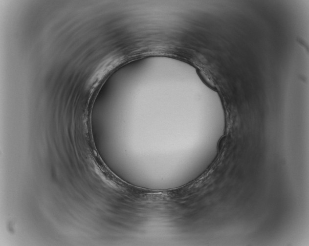 X0000099320050200805161410