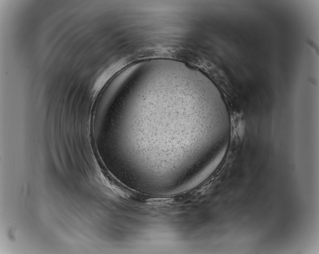 X0000099320051200805161410