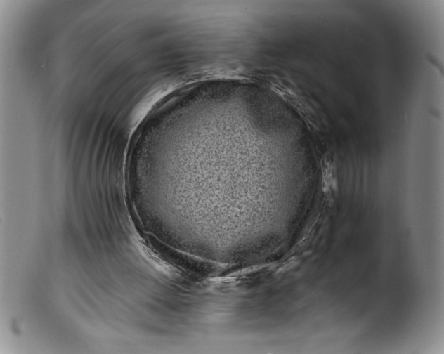 X0000099320052200805161410