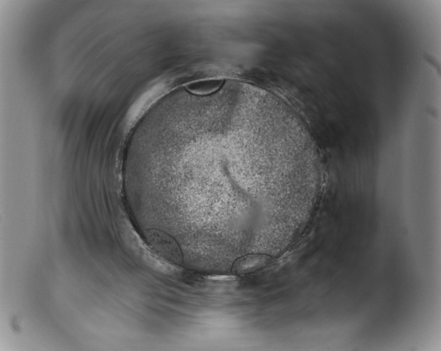 X0000099320053200805161410