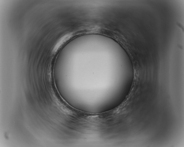 X0000099320054200805161410