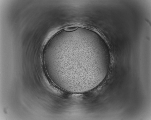 X0000099320055200805161410