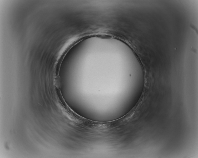 X0000099320056200805161410