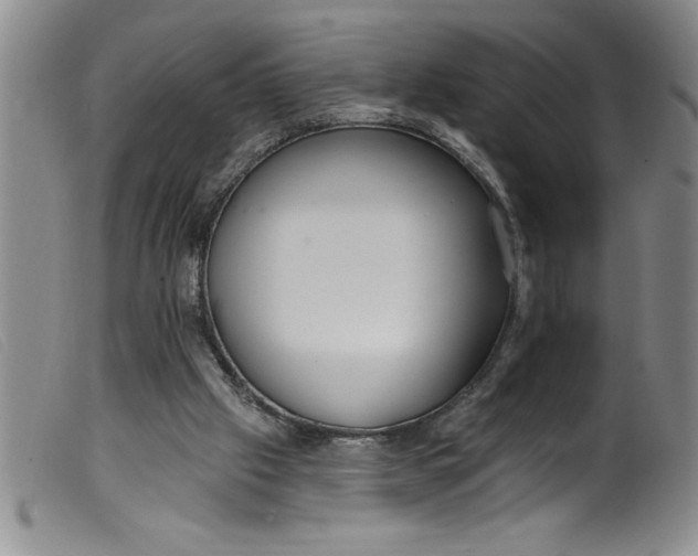 X0000099320057200805161410