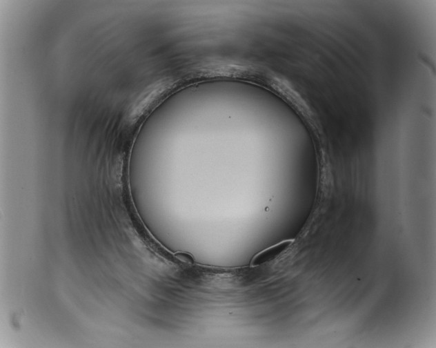 X0000099320058200805161410