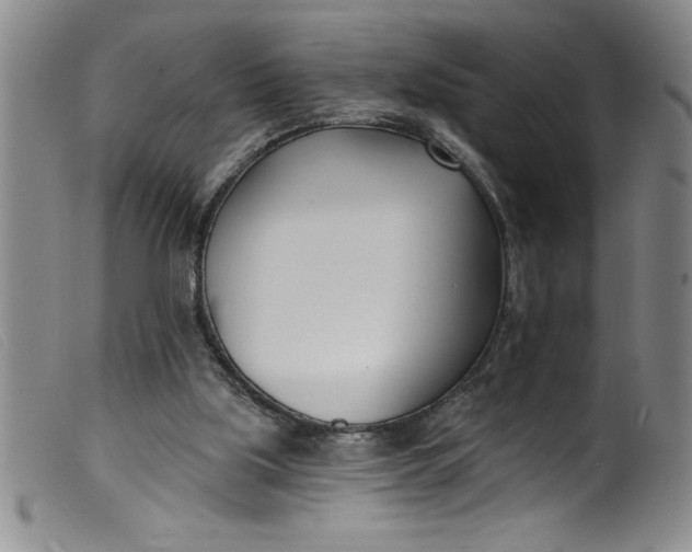 X0000099320059200805161410