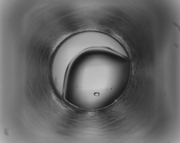 X0000099320060200805161410