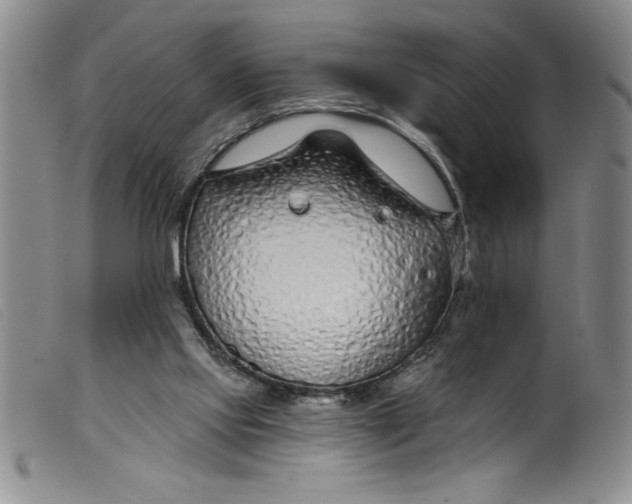 X0000099320061200805161410