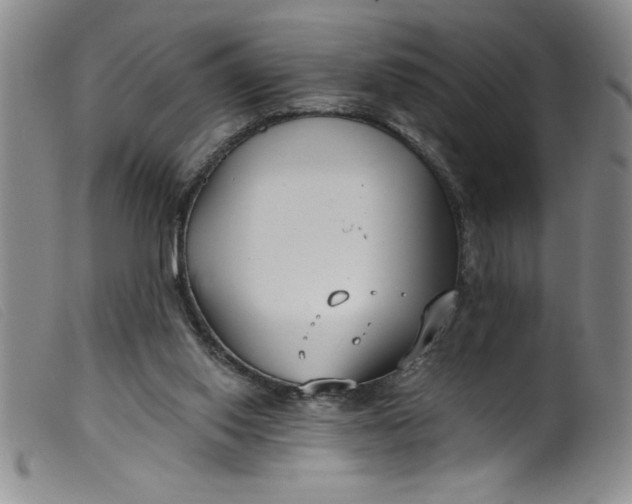 X0000099320062200805161410