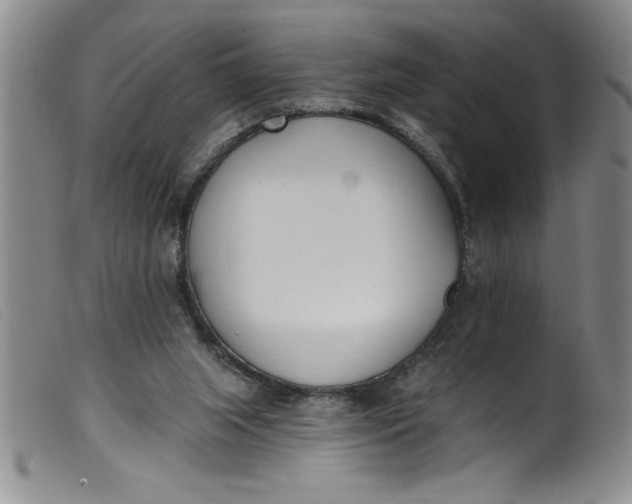 X0000099320063200805161410