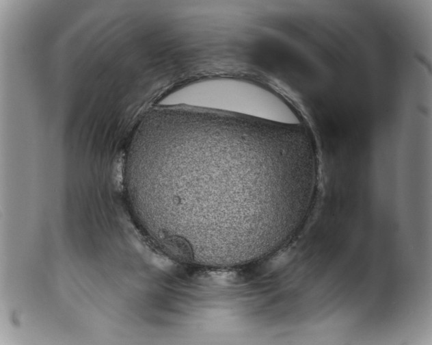 X0000099320065200805161410