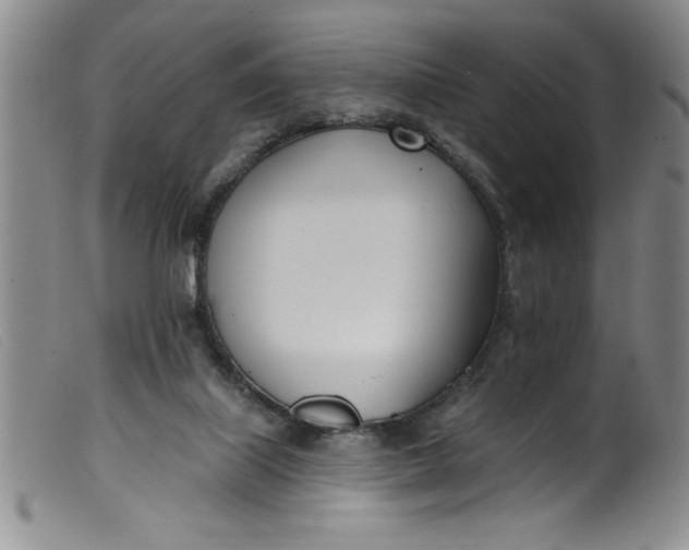 X0000099320067200805161410