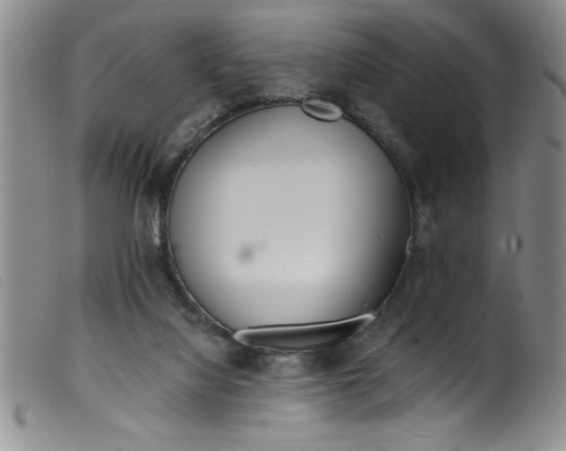 X0000099320068200805161410